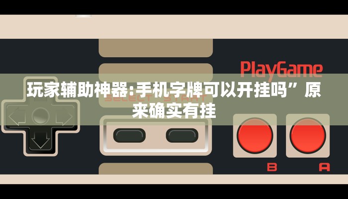 玩家辅助神器“多乐跑胡子透视”有开挂详细教程