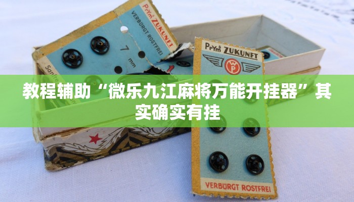 辅助开挂神器“皮皮跑胡子开挂器”开挂(透视)辅助教程