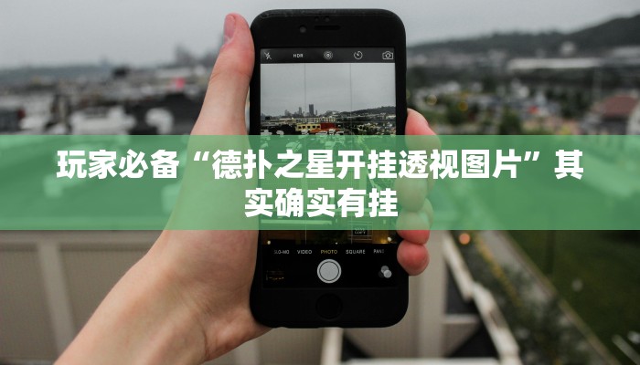 玩家辅助神器:wepoker作弊透视方法”其实确实有挂