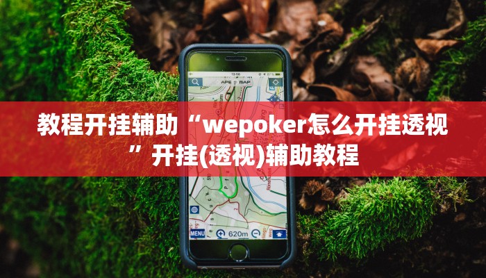 分析实测“wepoker辅助软件挂”其实确实有挂 分析实测“wepoker辅助软件挂”其实确实有挂