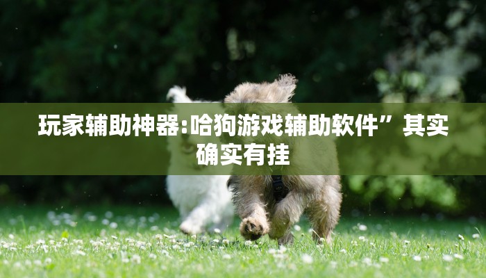 辅助开挂神器“开心十三张究竟有挂吗”其实确实有挂