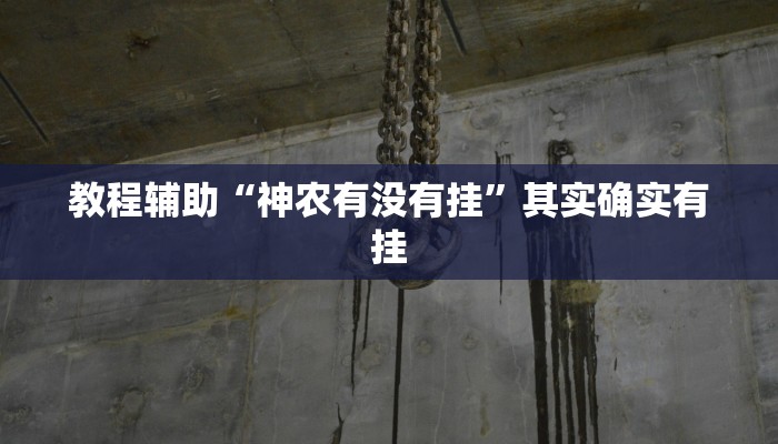 万能开挂辅助“天天监利麻将开挂教程”分享必要外挂教程