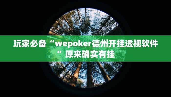 万能开挂辅助“WePoKer透视软件挂”详细分享装挂步骤教程