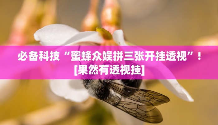 万能开挂辅助“白金岛红拐弯可以开挂吗”2025开挂教程步骤 万能开挂辅助“白金岛红拐弯可以开挂吗”2025开挂教程步骤