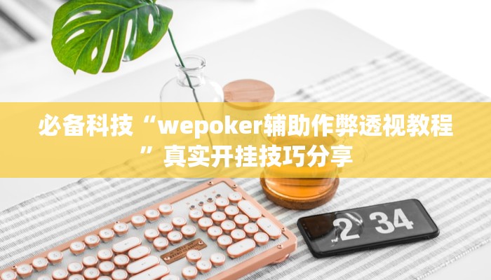 分析实测“紫锦游戏城原来可以开挂”其实确实有挂