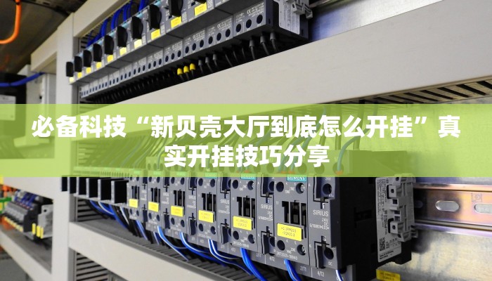 实测教程”17麻将大菠萝软件挂”开挂(透视)辅助教程