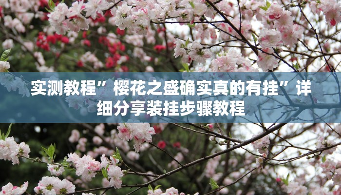 万能开挂辅助“黑鹰众玩辅助挂”开挂(透视)辅助教程