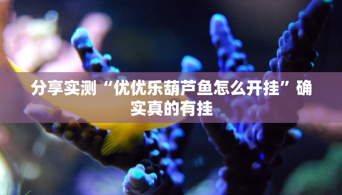 教程分享“微乐跑胡子透视辅助挂”详细开挂玩法 教程分享“微乐跑胡子透视辅助挂”详细开挂玩法