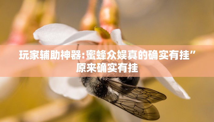 玩家辅助神器“微乐浙江麻将万能开挂器”2025开挂教程步骤