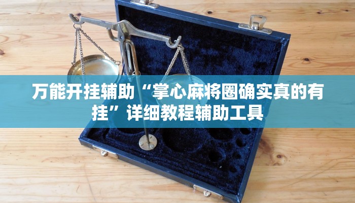 万能开挂辅助“掌心麻将圈确实真的有挂”详细教程辅助工具