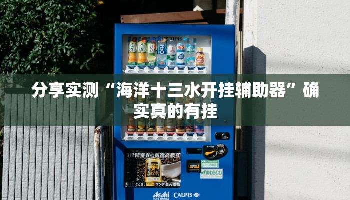 分享实测“海洋十三水开挂辅助器”确实真的有挂 分享实测“海洋十三水开挂辅助器”确实真的有挂