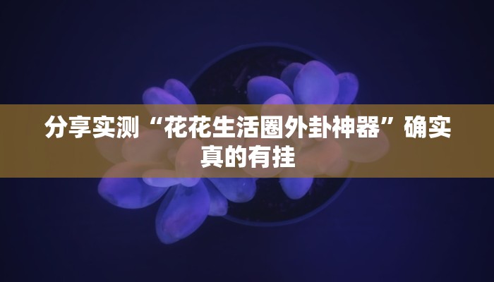 辅助开挂神器“随意玩开挂神器”开挂(透视)辅助教程