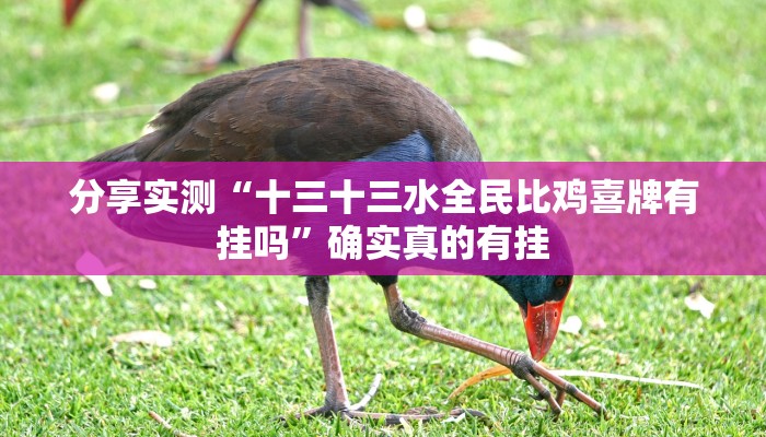 开挂辅助工具“对战互娱透视”其实确实有挂