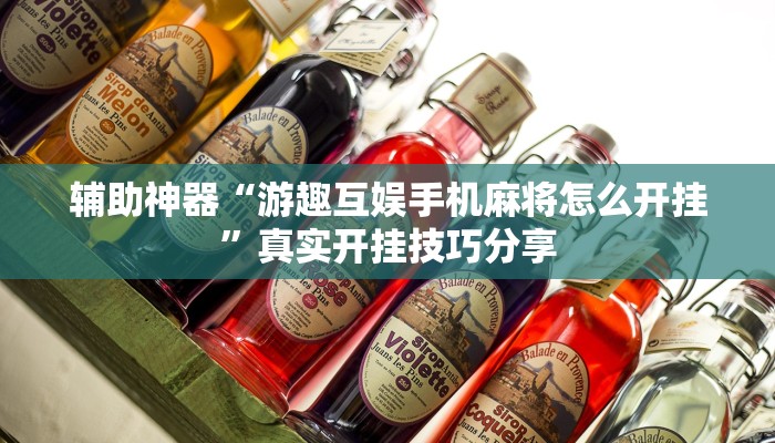 教程辅助“皇后大厅透视”详细开挂教程