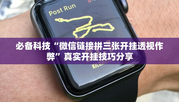 辅助神器“广西八一字牌透视辅助器”其实确实有挂 辅助神器“广西八一字牌透视辅助器”其实确实有挂