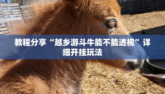 万能开挂辅助“微乐干瞪眼怎么开挂”详细分享装挂步骤教程 万能开挂辅助“微乐干瞪眼怎么开挂”详细分享装挂步骤教程