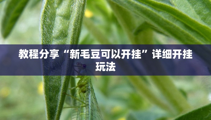 必备科技“七彩云南麻将开挂神器下载”原来确实有挂 必备科技“七彩云南麻将开挂神器下载”原来确实有挂