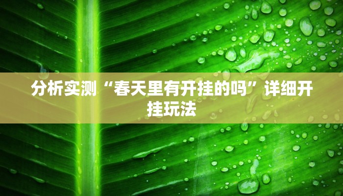 辅助开挂神器“铜仁板子炮到底有没有挂”详细开挂教程 辅助开挂神器“铜仁板子炮到底有没有挂”详细开挂教程