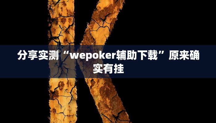 辅助开挂神器“(wepoker)透视挂究竟是真的假的”详细教程辅助工具