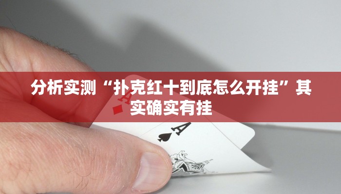 辅助开挂神器“新九哥大厅开挂”详细开挂教程