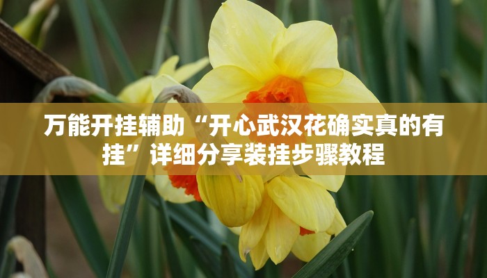 教程辅助!“微竞吉林麻将怎么开挂吗”2025开挂教程步骤