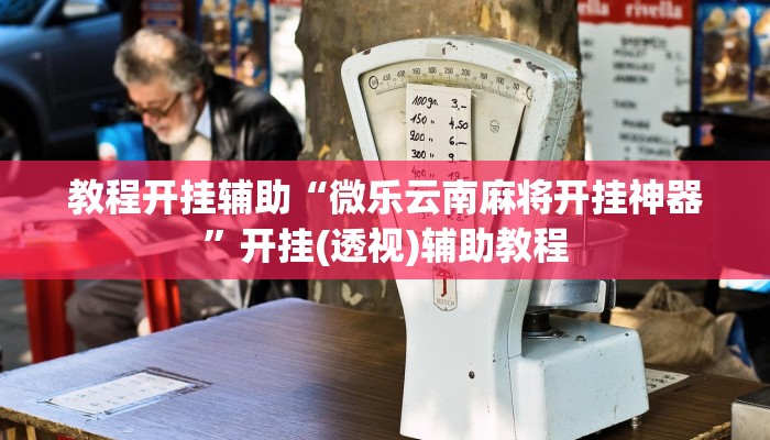 教程开挂辅助“微乐云南麻将开挂神器”开挂(透视)辅助教程