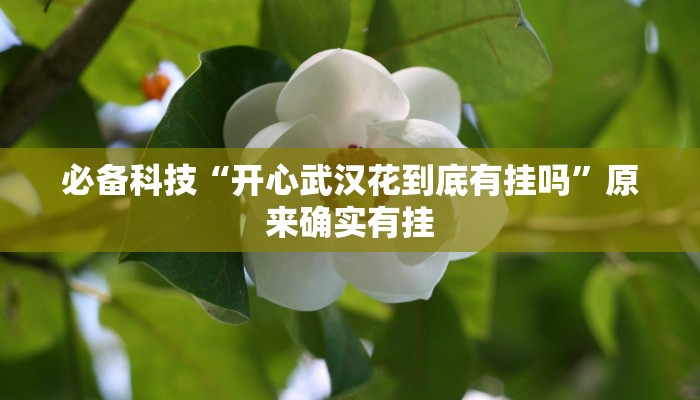 必备科技“开心武汉花到底有挂吗”原来确实有挂 必备科技“开心武汉花到底有挂吗”原来确实有挂