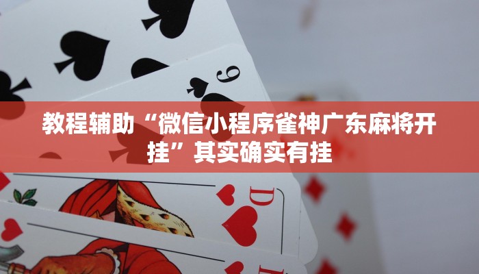 教程辅助“微信小程序雀神广东麻将开挂”其实确实有挂 教程辅助“微信小程序雀神广东麻将开挂”其实确实有挂