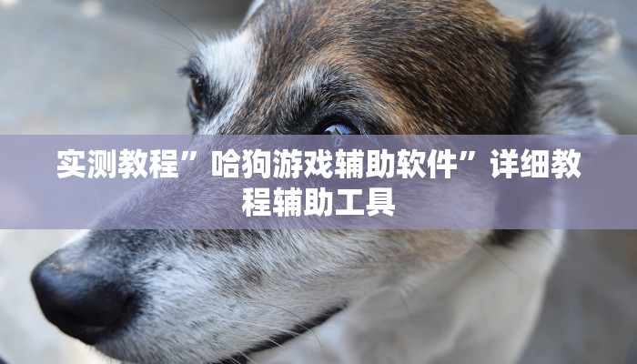实测教程”哈狗游戏辅助软件”详细教程辅助工具