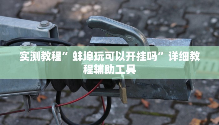 实测教程”蚌埠玩可以开挂吗”详细教程辅助工具 实测教程”蚌埠玩可以开挂吗”详细教程辅助工具