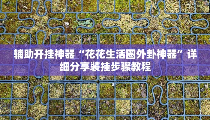 辅助开挂神器“花花生活圈外卦神器”详细分享装挂步骤教程 辅助开挂神器“花花生活圈外卦神器”详细分享装挂步骤教程