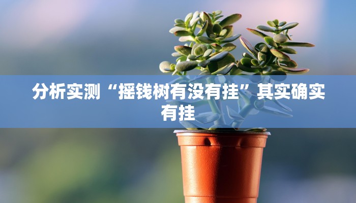 必备科技“AA POKER开挂教程”原来确实有挂