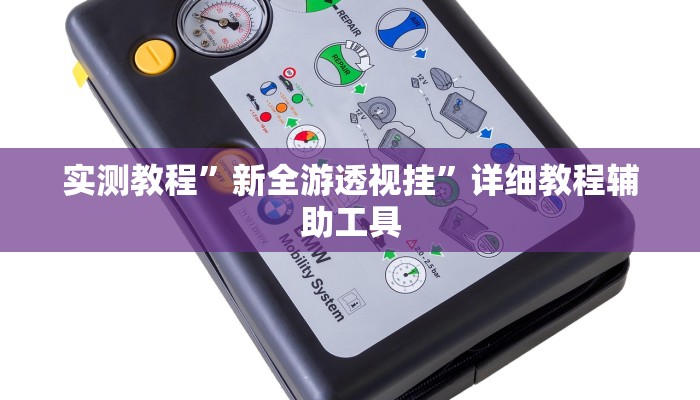 实测教程”新全游透视挂”详细教程辅助工具