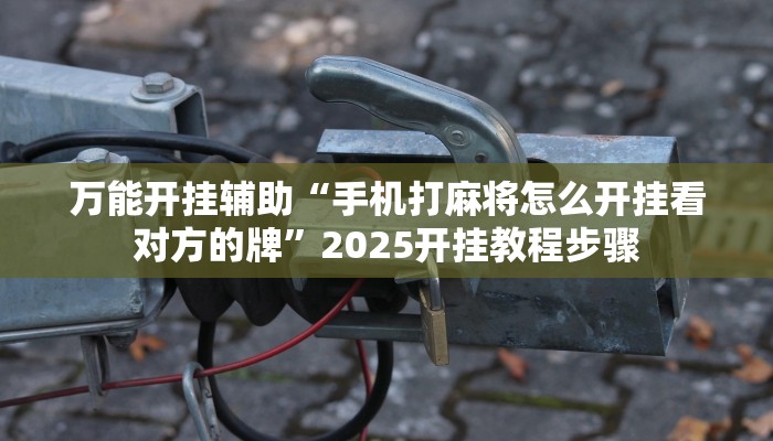 万能开挂辅助“手机打麻将怎么开挂看对方的牌”2025开挂教程步骤