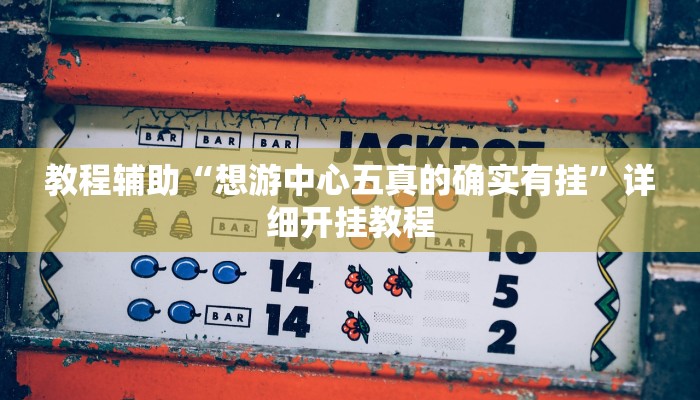 教程辅助“想游中心五真的确实有挂”详细开挂教程