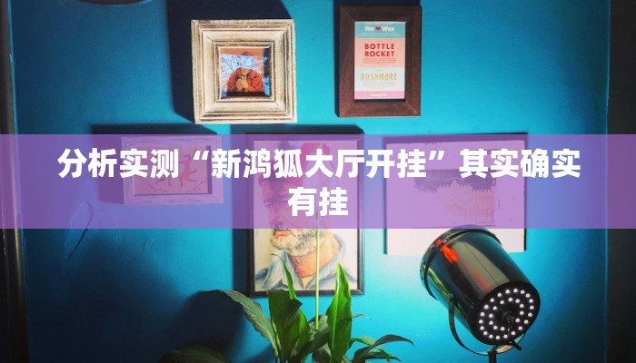 分析实测“新鸿狐大厅开挂”其实确实有挂