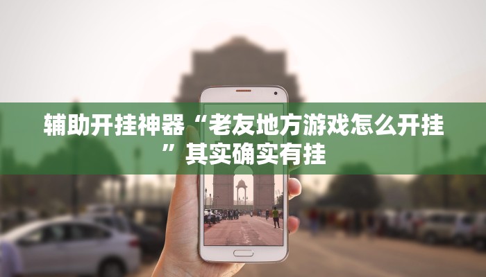 辅助开挂神器“老友地方游戏怎么开挂”其实确实有挂