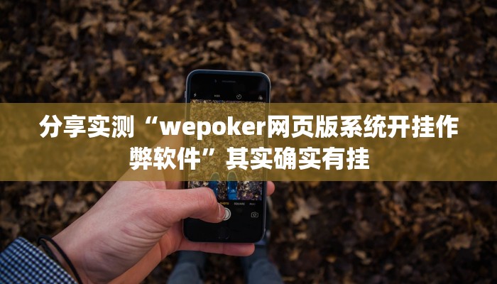 分享实测“wepoker网页版系统开挂作弊软件”其实确实有挂 分享实测“wepoker网页版系统开挂作弊软件”其实确实有挂