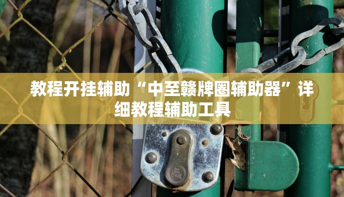 教程开挂辅助“中至赣牌圈辅助器”详细教程辅助工具