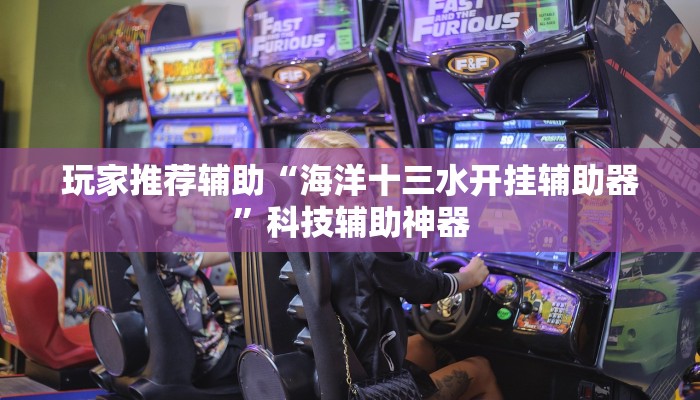 玩家推荐辅助“海洋十三水开挂辅助器”科技辅助神器