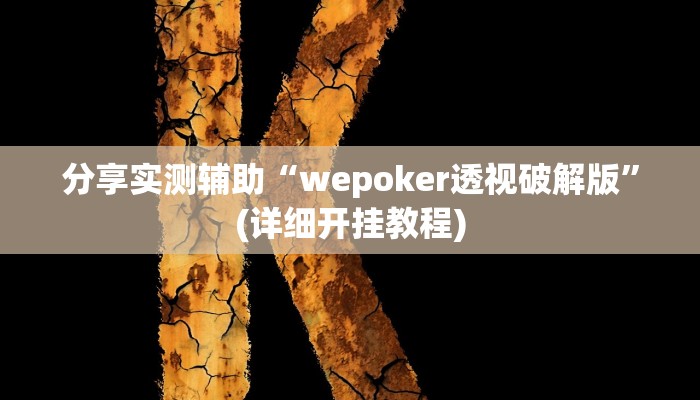 分享实测辅助“wepoker透视破解版”(详细开挂教程)